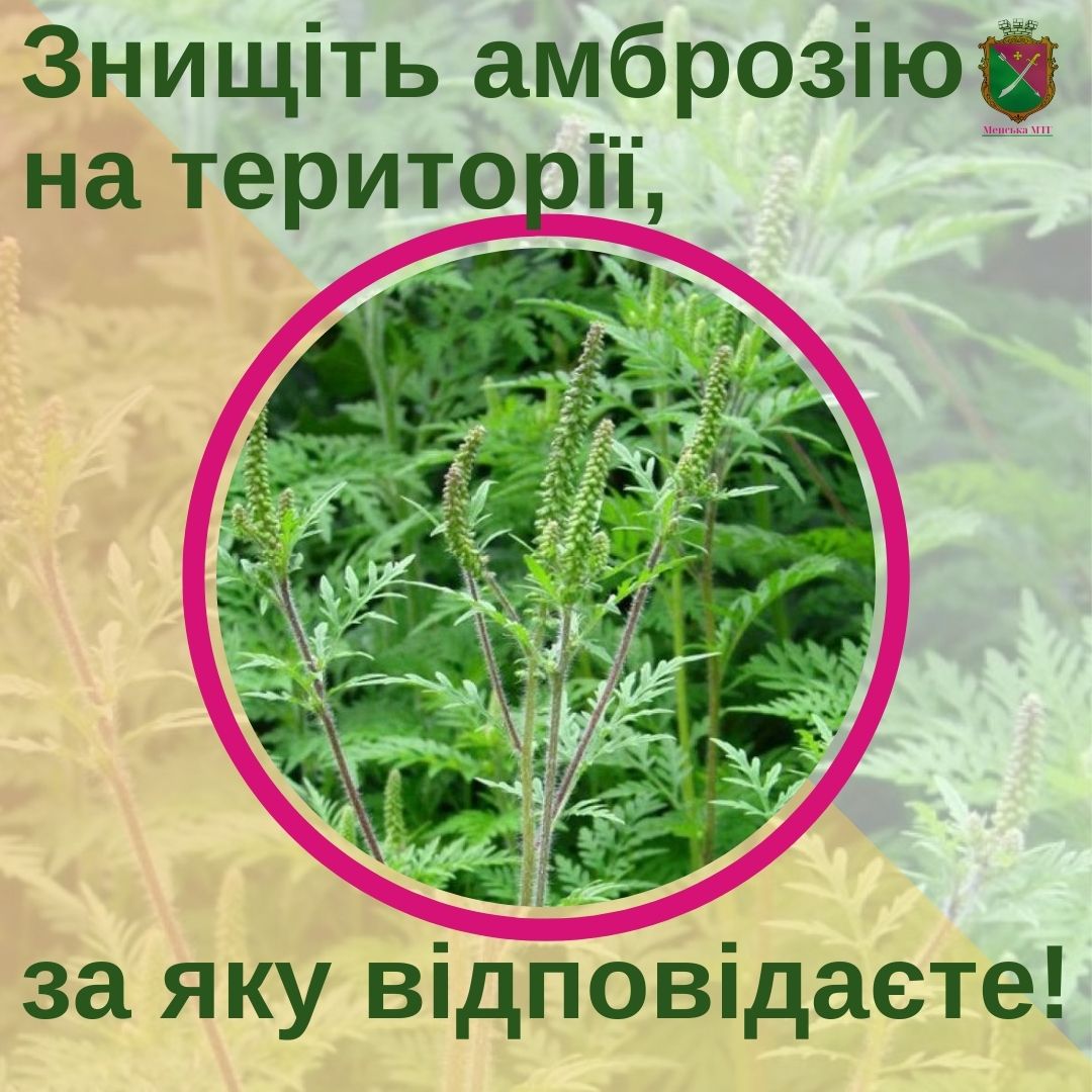 Фотографія